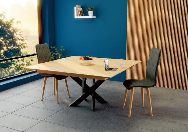 Meubles à Thonon Tables et chaises / Tables / Tables de Séjour