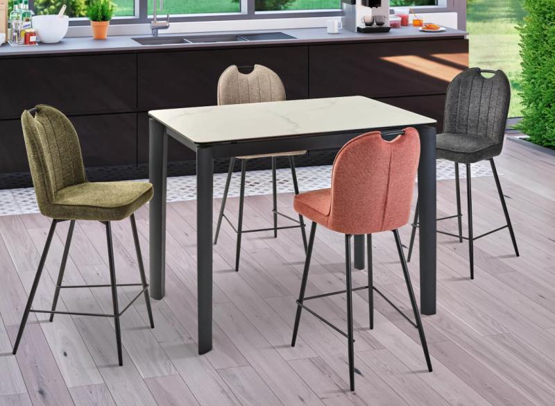 Meubles à Thonon Tables et chaises / Tables / Tabourets BAR et SNACK